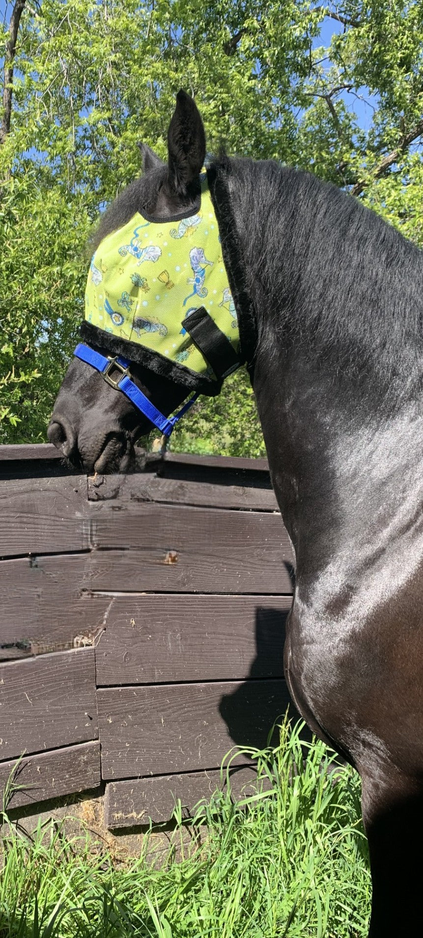 Sassy Seahorse Fly Mask with Fleece Binding