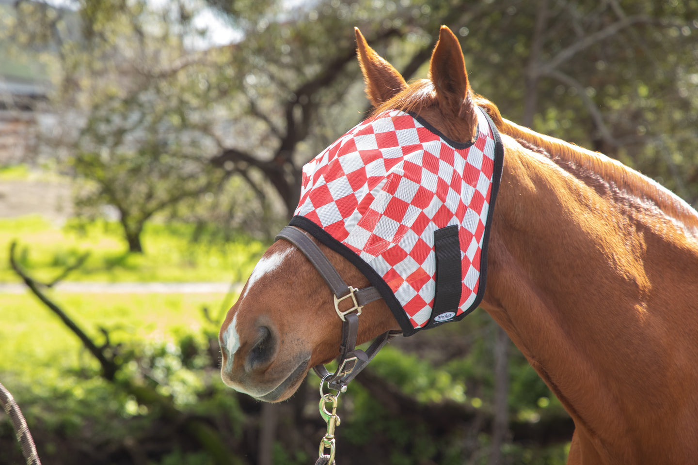 Racer Red Check Fly Mask with Fleece Binding