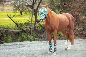 Racer Green Check  Fly Boots